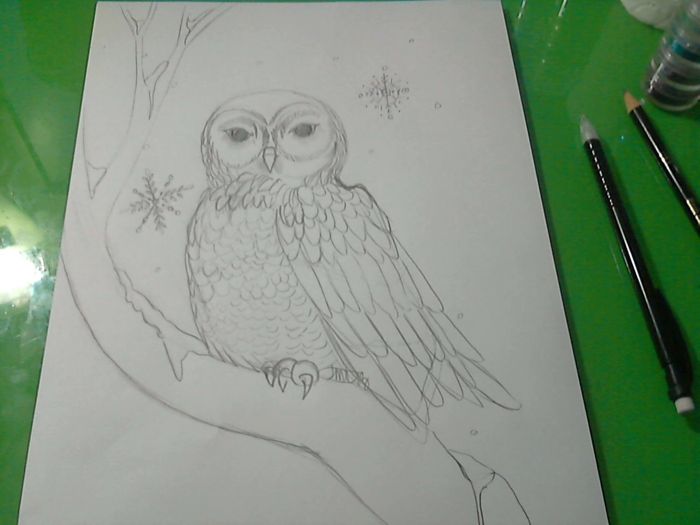 Winter Owl by Jill Britt